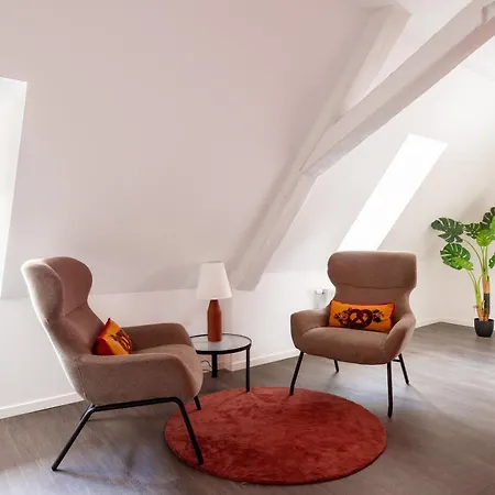 Appart hôtel Travel Homes - Rapp, Charm In The Heart Of Colmar