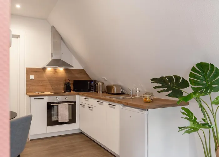Aparthotel Travel Homes - Republic, Charm In The Heart Of Colmar