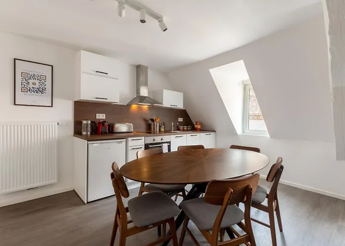 Travel Homes - Republic, Charm In The Heart Of Aparthotel Colmar