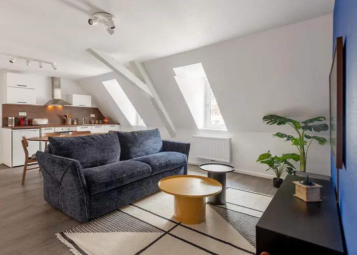 Aparthotel Travel Homes - Republic, Charm In The Heart Of Colmar